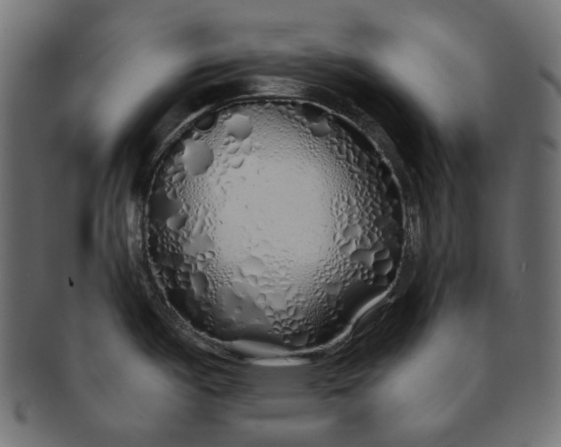 X0000091531487200709071029
