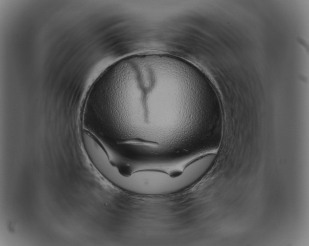 X0000091531488200709071029