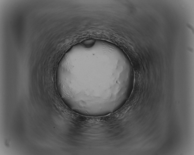 X0000091531489200709071028