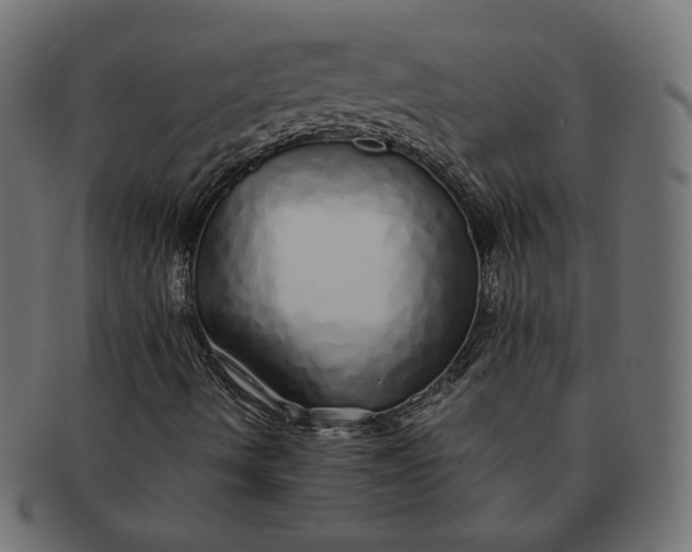 X0000091531490200709071028