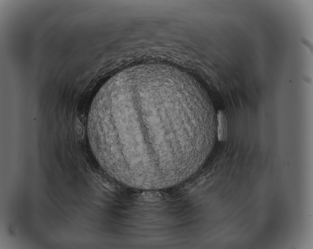 X0000091531491200709071028