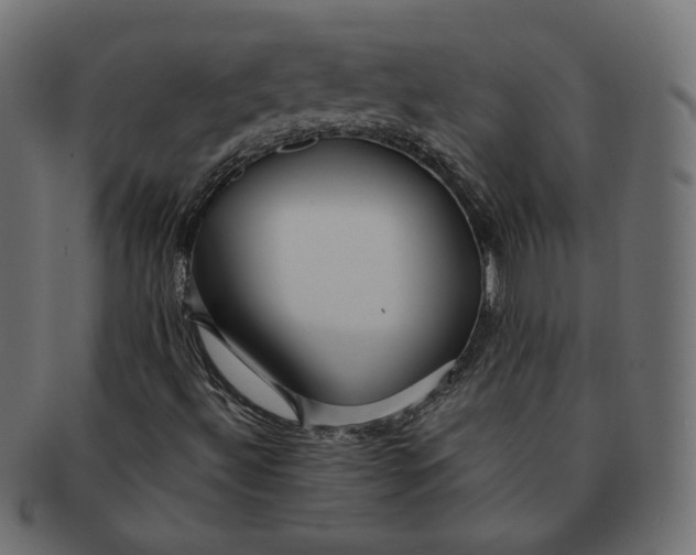 X0000091531492200709071028