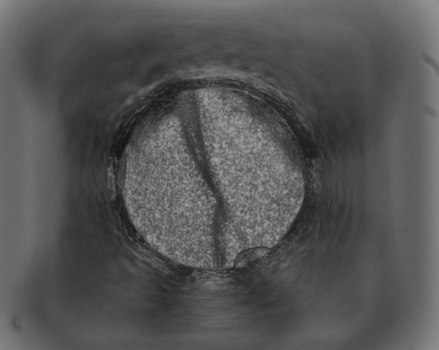 X0000091531493200709071028