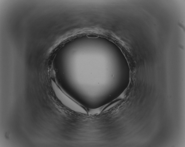 X0000091531496200709071028
