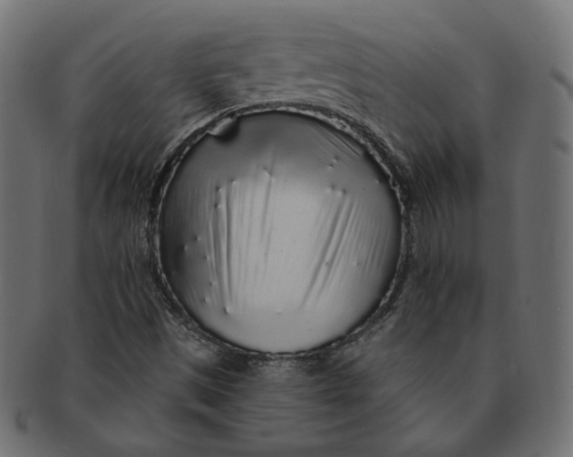 X0000091531497200709071028