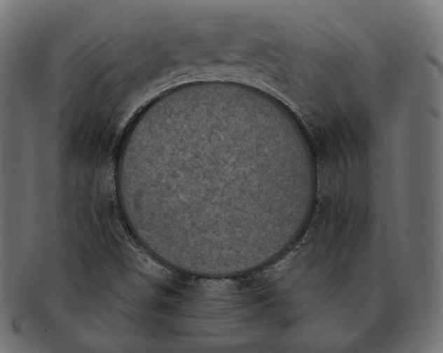 X0000091531498200709071028