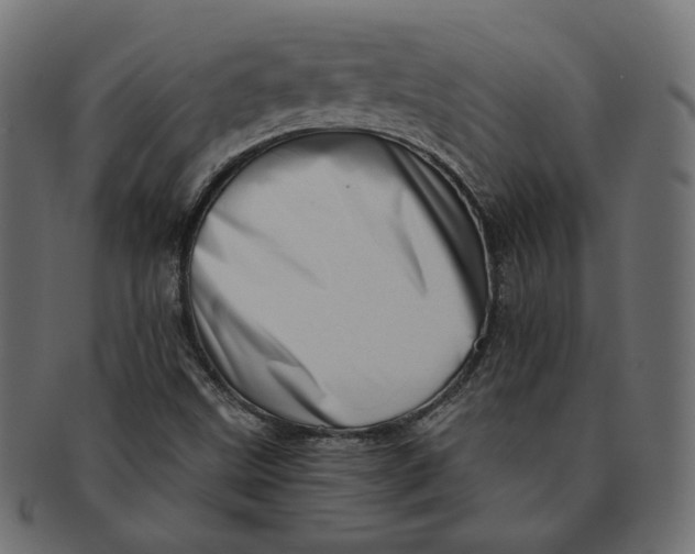 X0000091531499200709071028