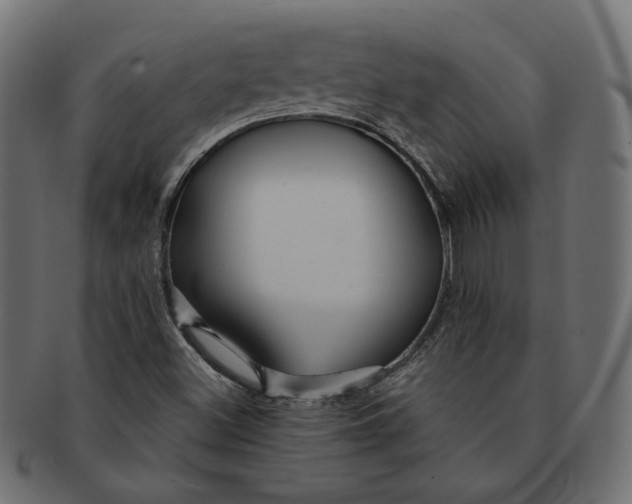 X0000091531500200709071028