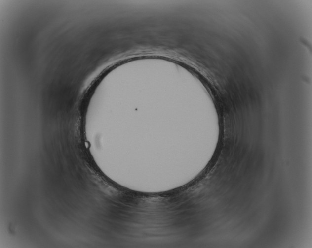 X0000091531502200709071028