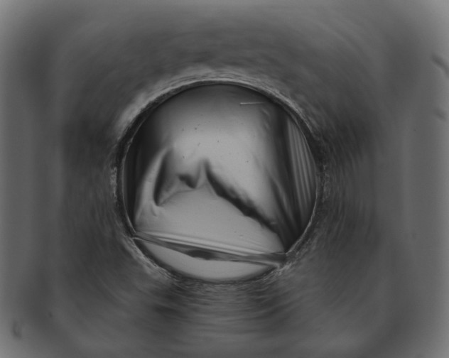 X0000091531503200709071028