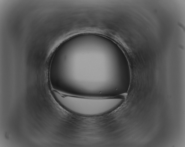 X0000091531504200709071028