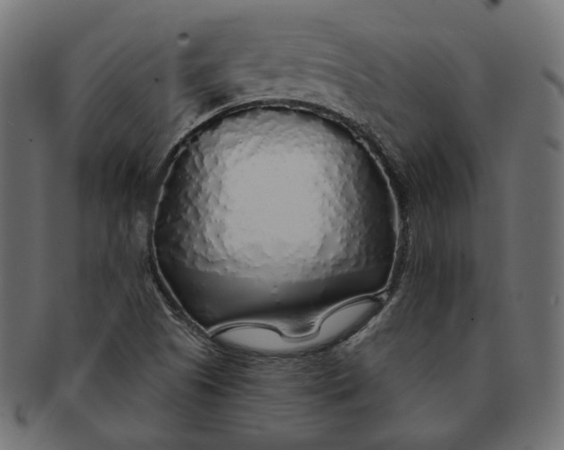 X0000091531505200709071028
