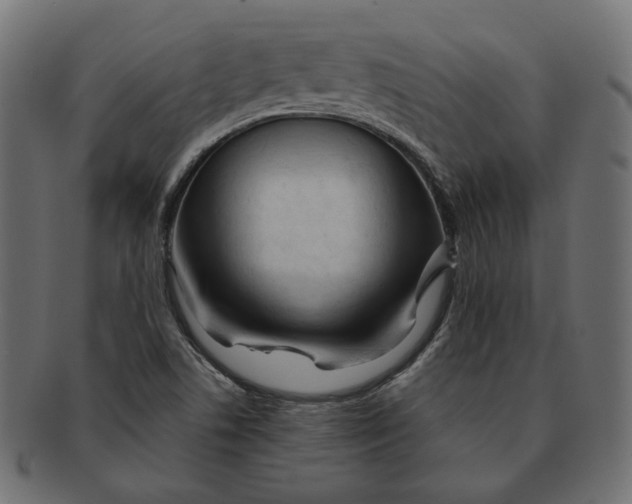 X0000091531506200709071028