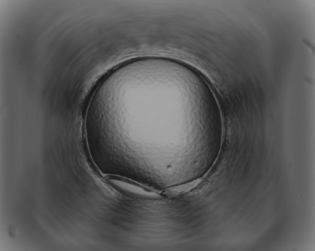 X0000091531507200709071028