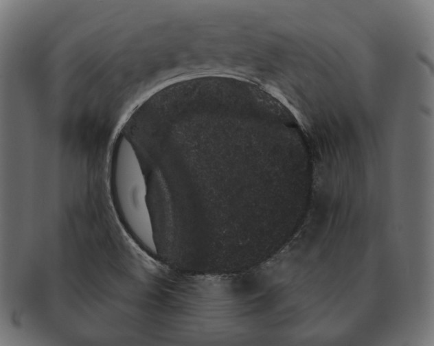 X0000091531508200709071028