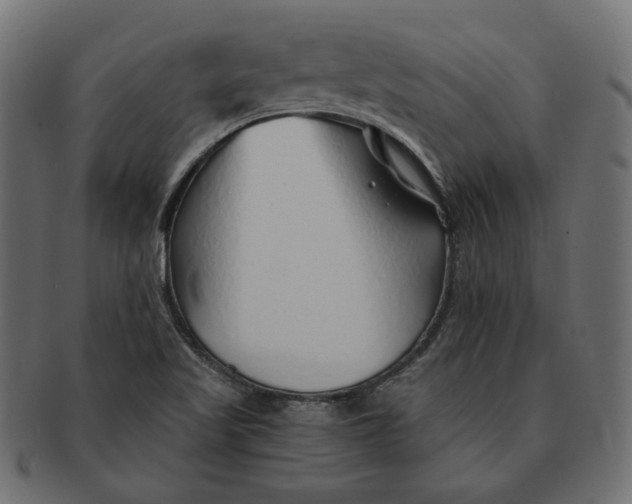 X0000091531509200709071028