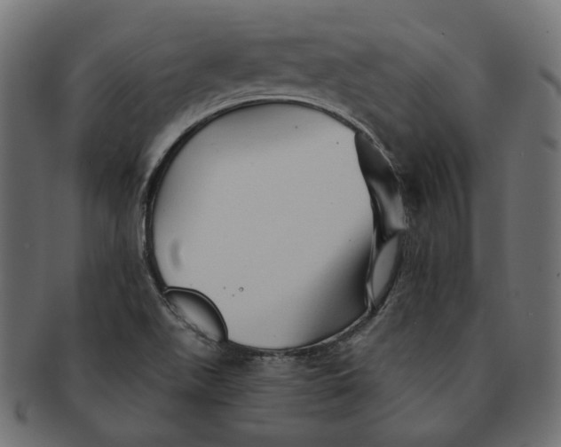 X0000091531511200709071028