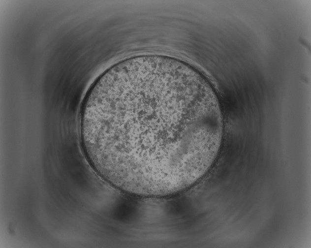 X0000091531514200709071028