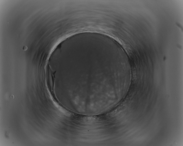 X0000091531515200709071028