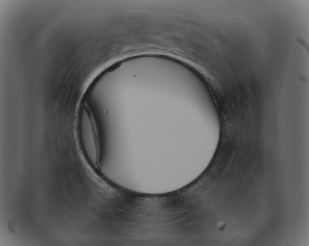 X0000091531518200709071028