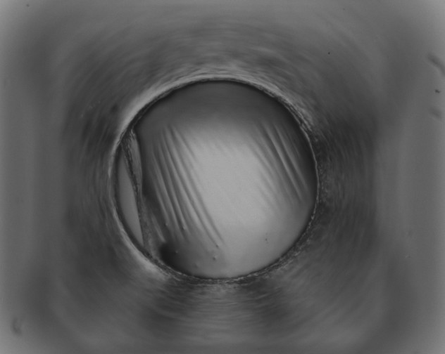 X0000091531519200709071028