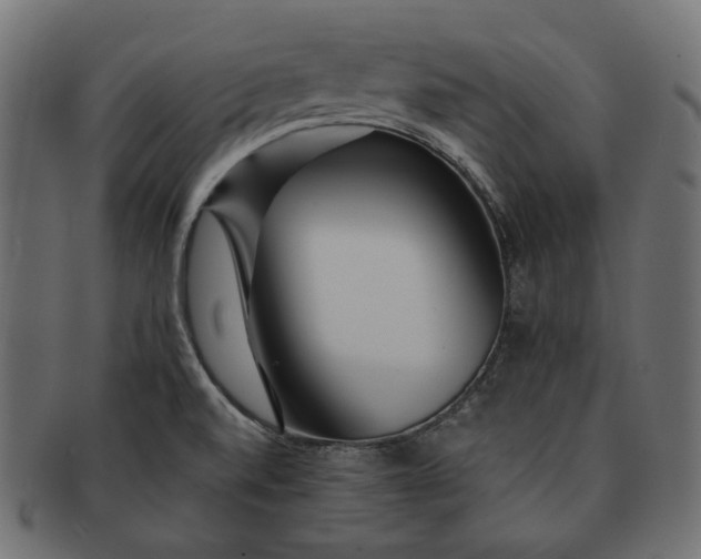 X0000091531520200709071028