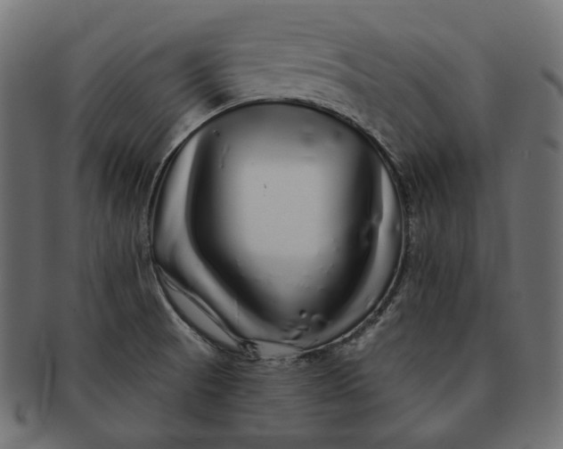 X0000091531521200709071028
