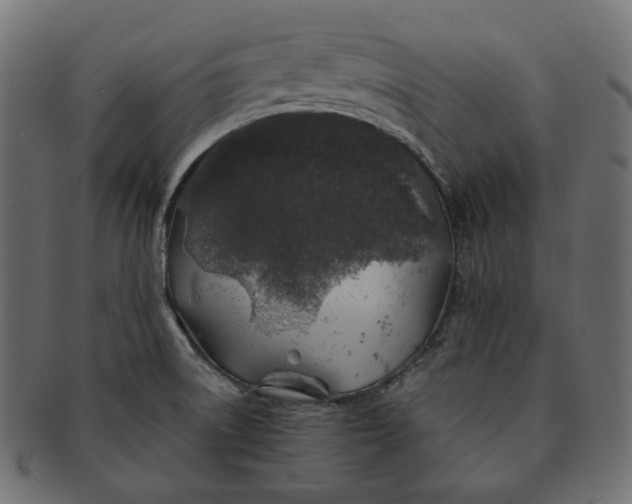 X0000091531522200709071029