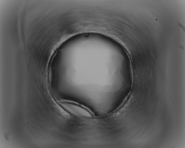 X0000091531525200709071029