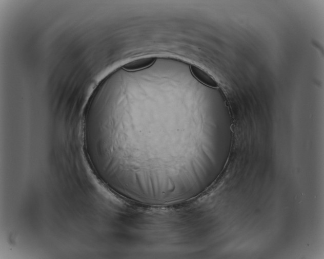 X0000091531526200709071029