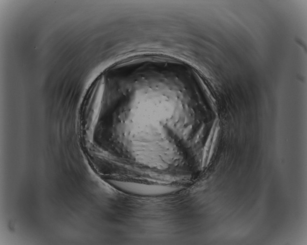X0000091531527200709071029