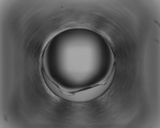 X0000091531528200709071029