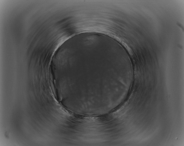 X0000091531529200709071029
