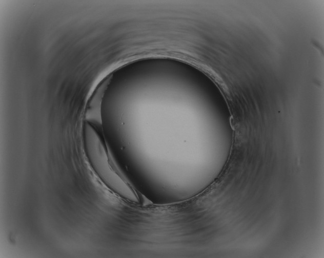 X0000091531530200709071029