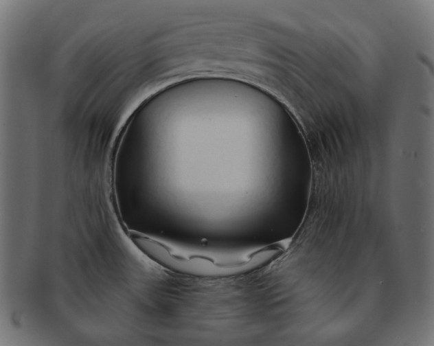 X0000091531531200709071029