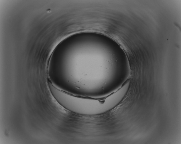X0000091531532200709071029