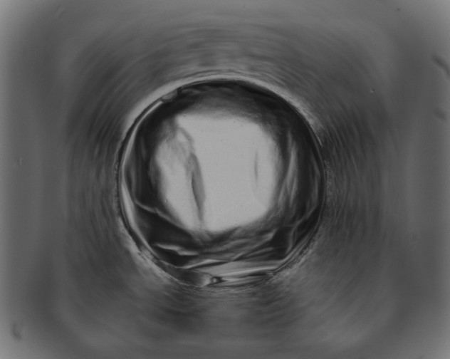 X0000091531534200709071029