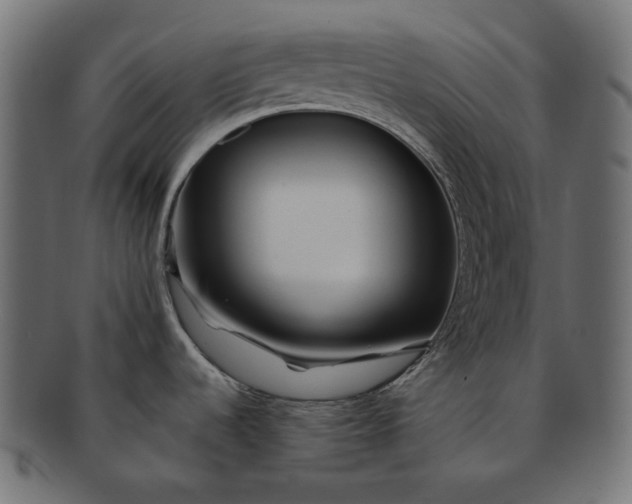 X0000091531536200709071029