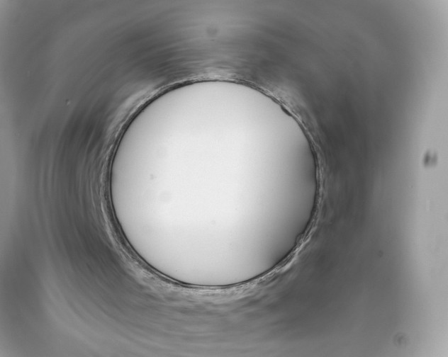 X0000091530001200709141445