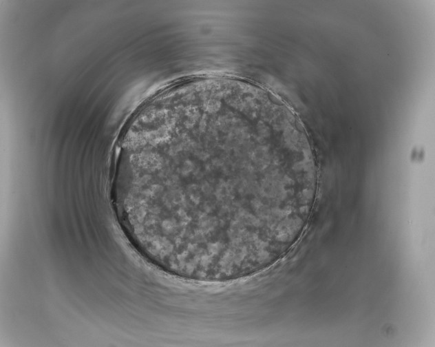 X0000091530002200709141445