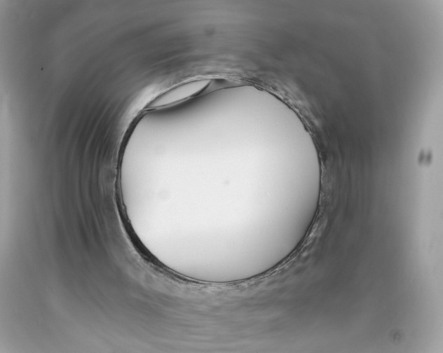 X0000091530003200709141445