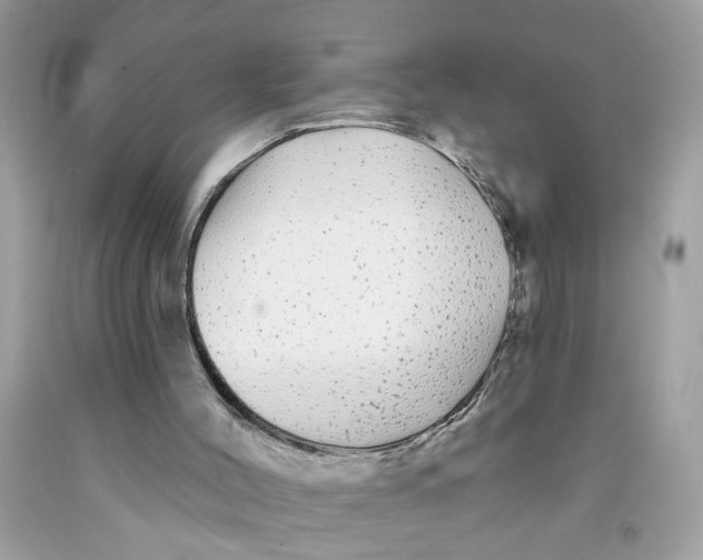 X0000091530004200709141445