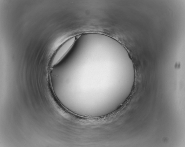 X0000091530005200709141445