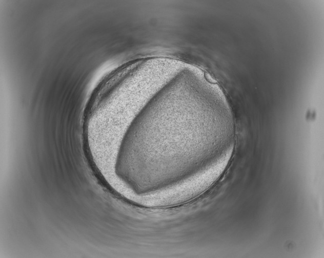 X0000091530006200709141445