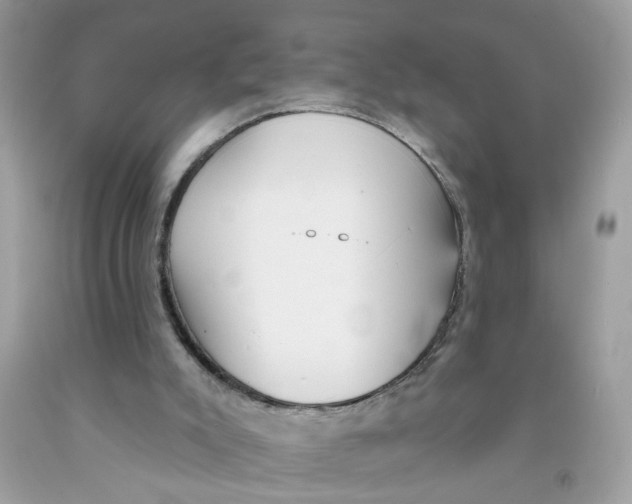 X0000091530007200709141445