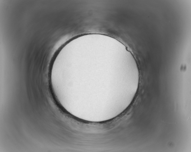 X0000091530008200709141445