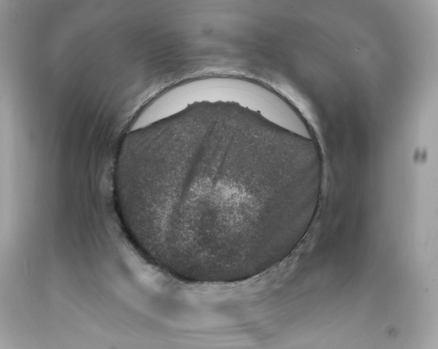 X0000091530009200709141445