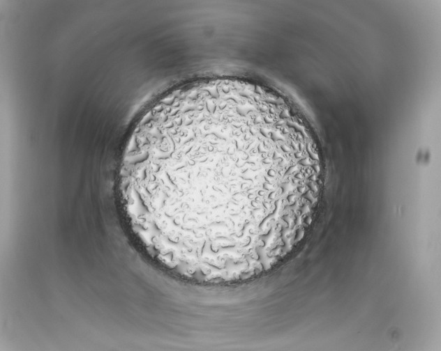 X0000091530010200709141445