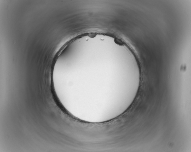 X0000091530011200709141445
