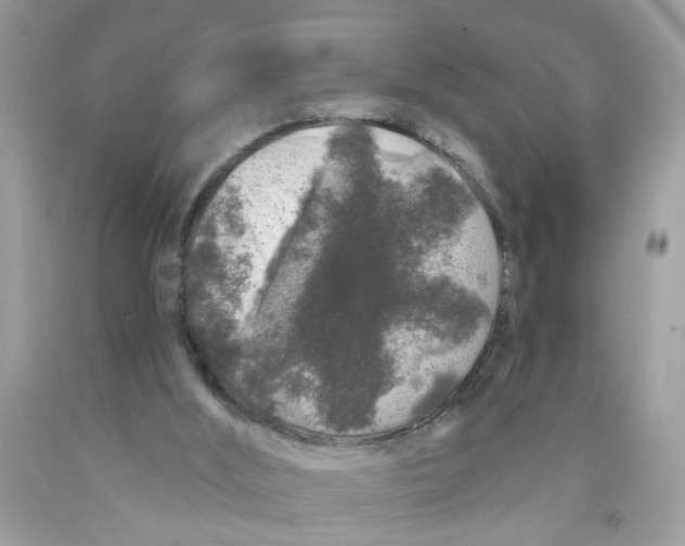 X0000091530012200709141445